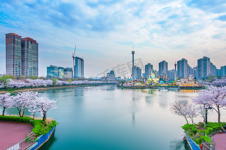 与乐天世界和樱花节的韩国都市风景