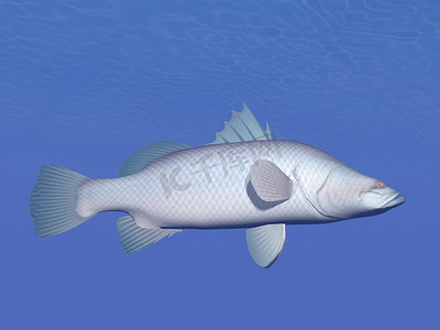 澳洲肺鱼水下 — 3D 渲染