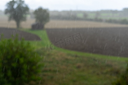 下暴雨摄影照片_在该国的草地上，恶劣天气下大雨