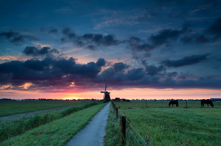 荷兰风车和牧场上的马
