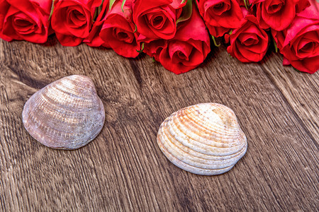 木制背景中的两个贝壳和玫瑰