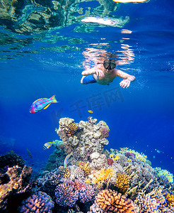 一个小男孩在红海浮潜的水下拍摄
