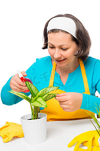 女性在白桌上洒上水绿花