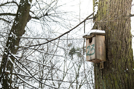 冰冷的木制自制喂食器，用于在冬季喂养鸟类。
