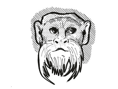 卡通皇帝摄影照片_皇帝狨猴猴卡通复古绘图
