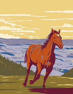 山海报摄影照片_Mustang in Pryor Mountain Wild Horse Range in Carbon and Big Horn County of Montana WPA 海报艺术