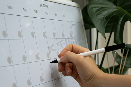每月计划者上用记号笔书写的女性手写体。