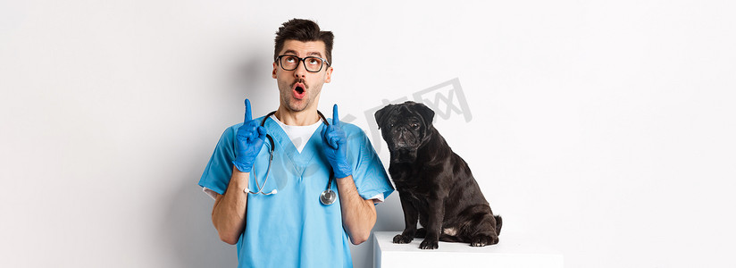 兽医诊所帅气的年轻医生指着手指，看起来很惊讶，站在可爱的黑色哈巴狗旁边，白色背景