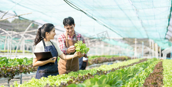年轻的亚洲农民在蔬菜水培农场快乐地工作。