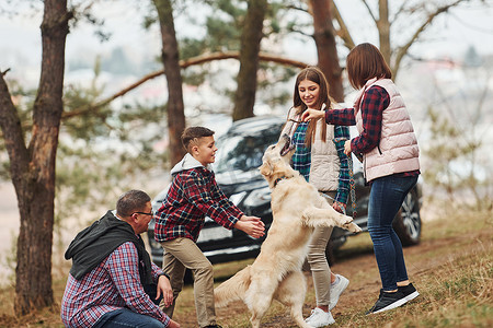 宠物家庭摄影照片_幸福的家庭在森林里的现代汽车附近与活跃的狗玩得开心
