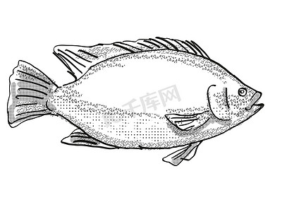 卡通鱼家鱼摄影照片_罗非鱼鱼卡通复古绘图