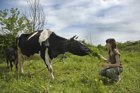 女孩和牛
