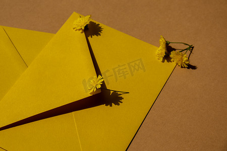 米色背景的两个邮政黄色信封上美丽的黄色洋甘菊小雏菊花，空白的纸条复制空间，用于文本，春天，节日贺卡。