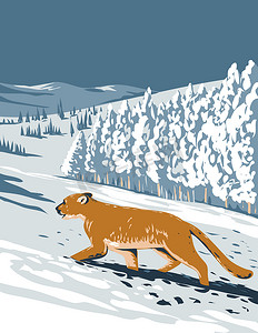 冬天海报摄影照片_美洲狮在博尔德科罗拉多州冬季侧视图 WPA 海报艺术