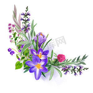 野外紫色鲜花花束，手绘