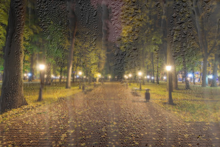 夜公园摄影照片_秋天的夜公园，落叶黄黄。