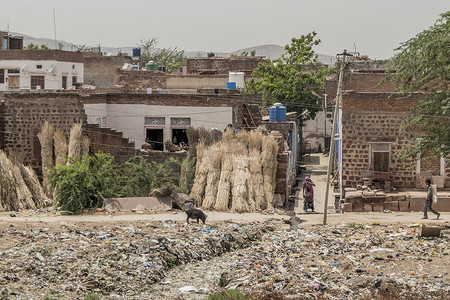 印度拉贾斯坦邦的垃圾、贫困和高温。