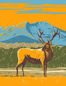 科罗拉多州北部落基山国家公园的麋鹿或麋鹿 WPA 海报艺术