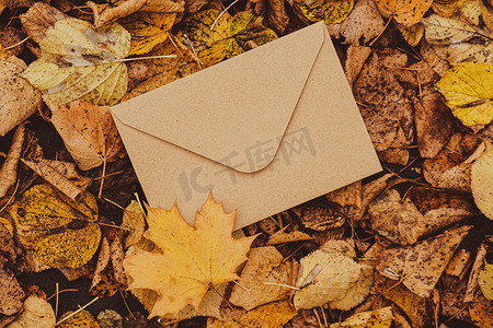 空土色调的信封模拟了五颜六色的秋叶飘落。