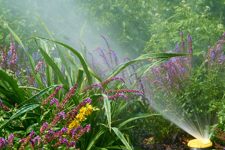 在城市公园炎热的一天洒水器浇花。