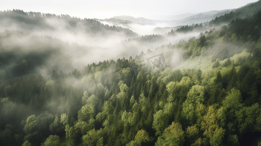 杭州鸟瞰摄影照片_鸟瞰有雾的森林