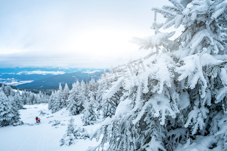 从山的美丽如画的冬天风景