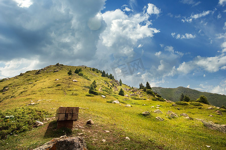 从阿拉木图山脉的爱好者们的林间空地欣赏富尔马诺夫山。