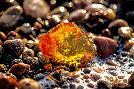 石子摄影照片_波罗的海海滩上的琥珀