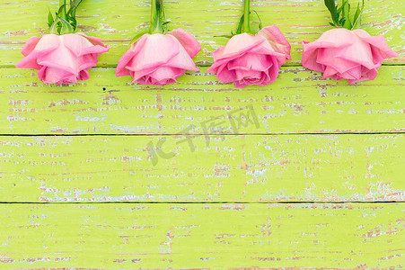 情人节背景与新鲜的粉红色玫瑰花