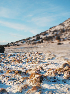 冬天，冰岛一座山脚下长满苔藓的冰冻熔岩田。