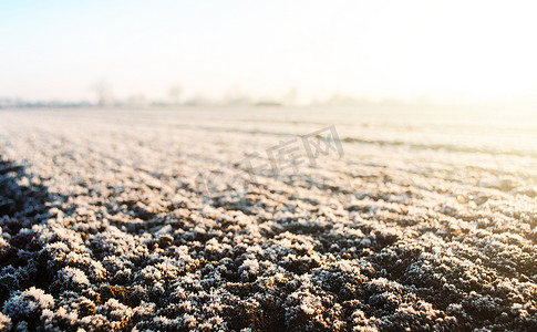 爱不可挡摄影照片_农田上结霜的冻土。