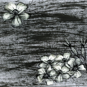 水彩灰色背景与手绘万寿菊花。