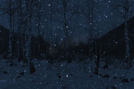 冬季森林降雪和地面雪，夜光照片