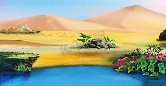 沙漠中的绿洲插画