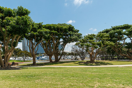 圣地亚哥 Embarcadero Marina Park South 带长椅的海滨公园