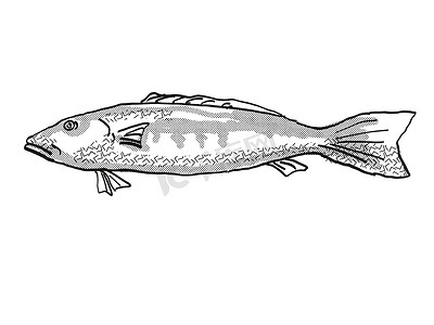 蓝鳕鱼新西兰鱼卡通复古画