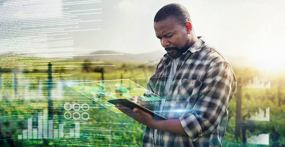 数字、平板电脑和未来与黑人在农场的可持续发展、农业和规划。