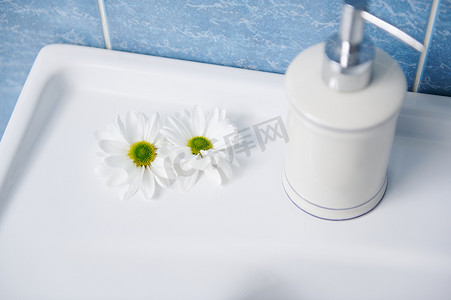 时尚发布会摄影照片_时尚的白色陶瓷分配器，在白色洗手盆上配有抗菌液体皂和洋甘菊花