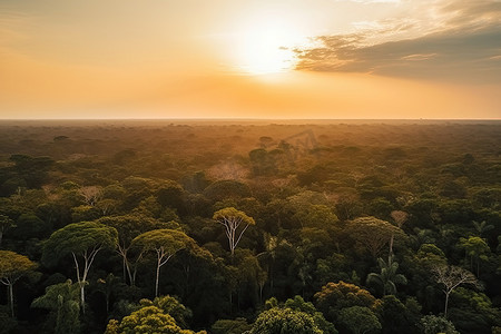 令人惊叹的无人机鸟瞰绿色亚马逊森林与河流在日出与复制空间