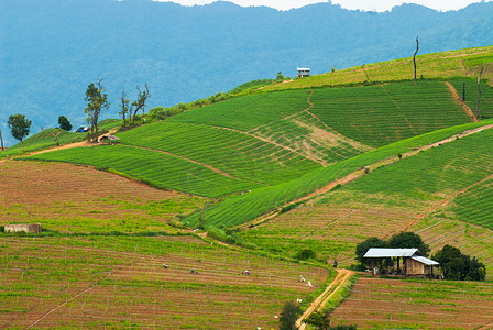 水稻梯田的高景 Mae Chaem，清迈，泰国北部