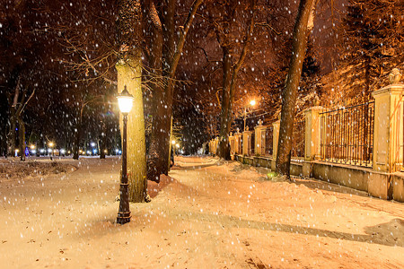 夜公园摄影照片_在冬天的夜公园与飘落的雪花。