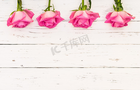 感恩母亲节活动摄影照片_粉红玫瑰花卉卡