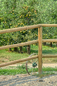 水果栏摄影照片_果园木栅栏装饰生锈的旧履带轮
