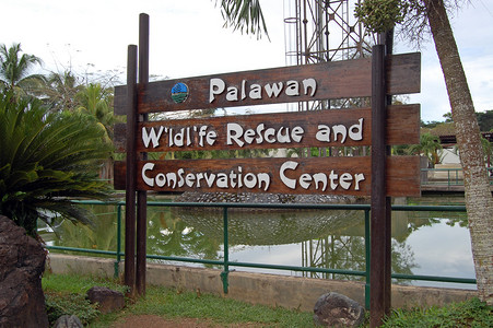 巴拉望野生动物救援和保护中心在 Puerto P 签到