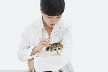 灰色背景下抱着猫的女兽医
