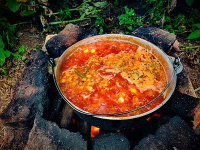 乌克兰红罗宋汤民族美食的烹饪菜肴。