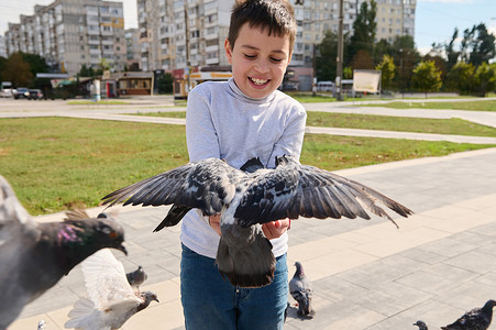 儿童白鸽飞摄影照片_可爱的小男孩在家庭出游时玩得开心，把一群飞鸽喂给他的手，照顾动物