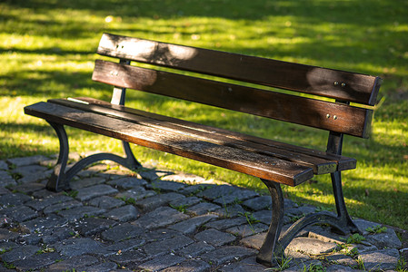 柔和的秋天阳光下的公园长椅