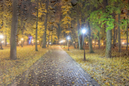 夜公园摄影照片_秋天的夜公园，落叶黄黄。