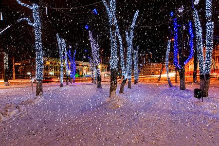 在冬天的夜公园与飘落的雪花。